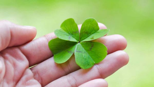 Fortuna audaces iuvat