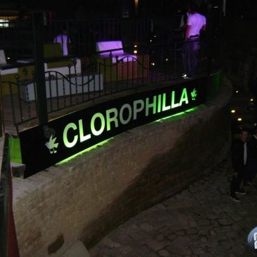 Clorophilla - 24-05-2008