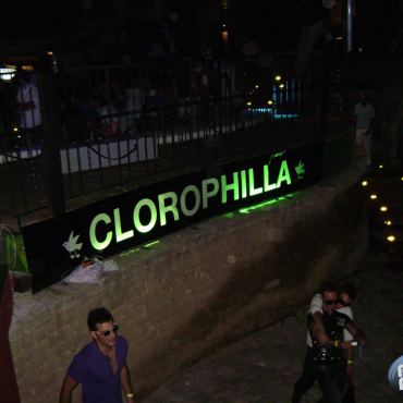 Clorophilla - Obi Baby - 14-06-2008